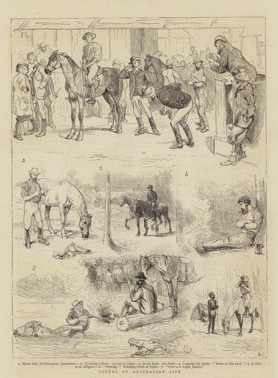 Escenas de la vida australiana de Alfred Chantrey Corbould